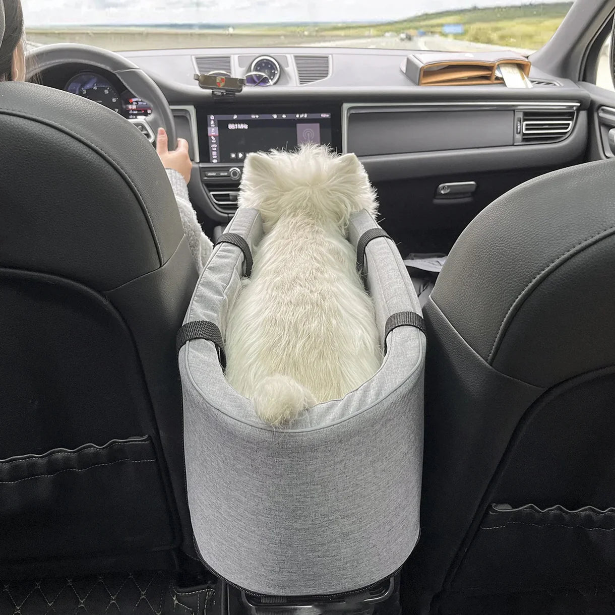 PetNomad™ - Pet Travel Bag