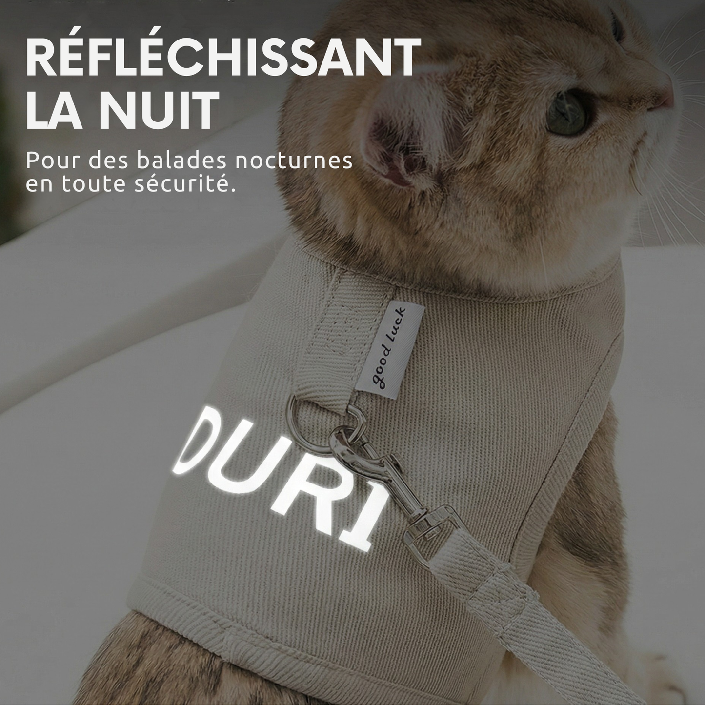 PetNomad™- Harnais & laisse pour chat