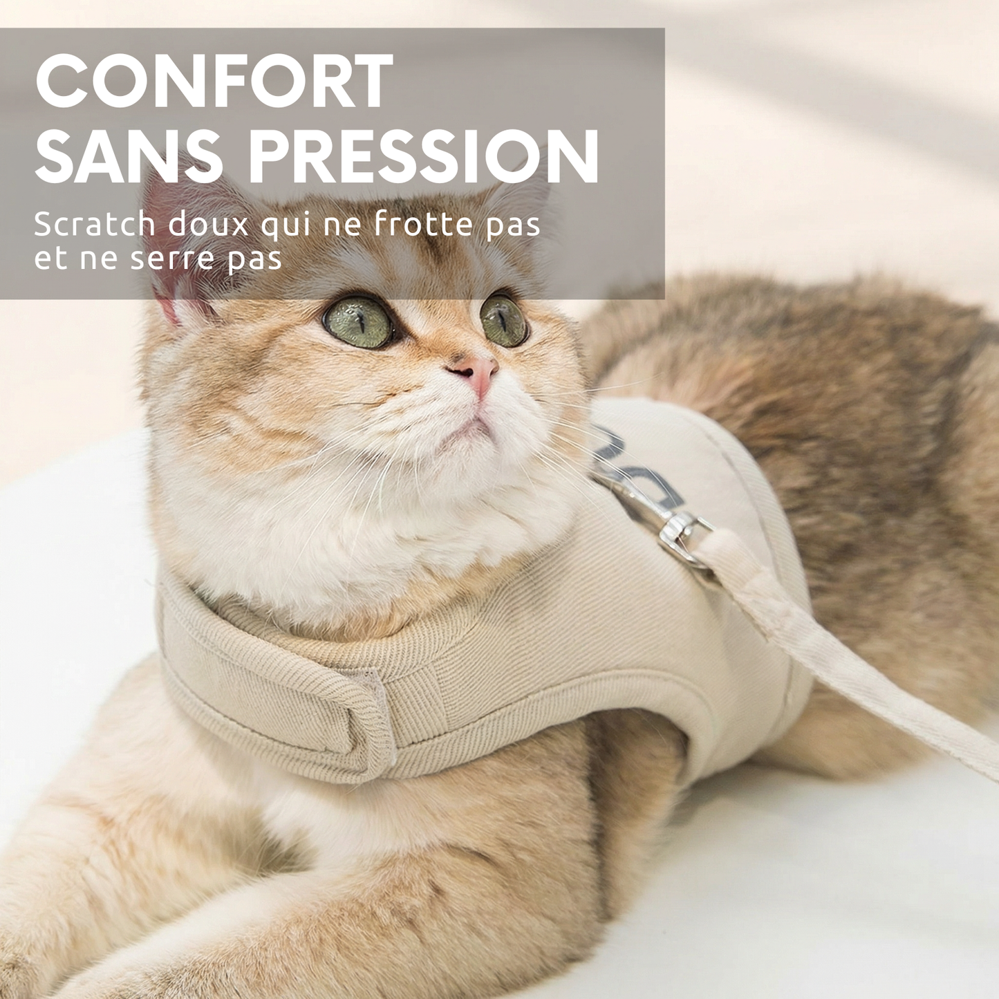 PetNomad™- Harnais & laisse pour chat
